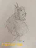1632036983(1)
